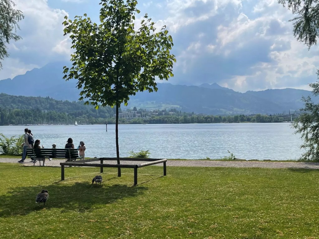 Lido Wiese Park, Lucerne Itinerary and Things To Do