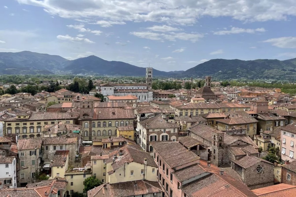 View From Guinigi Tower Lucca Italy